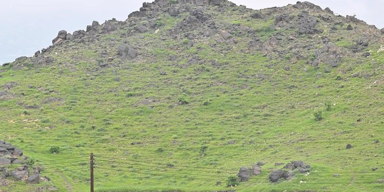 جازان "الطبيعة والرؤية".. تناغمٌ يُشكِّل ملامح التنمية المستدامة