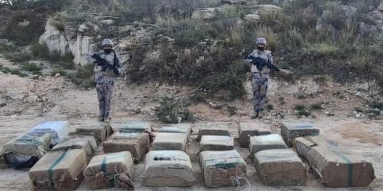 حرس الحدود بمنطقة جازان يحبط تهريب 137.5 كيلوجرامًا من الحشيش
