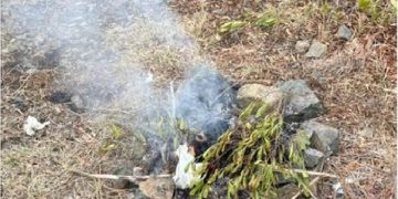 ضبط خليجي لعدم الالتزام بتعليمات وإرشادات المحافظة على الغطاء بمحمية الإمام فيصل بن تركي الملكية