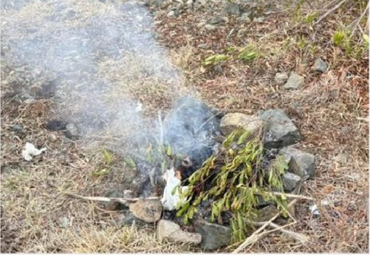 ضبط خليجي لعدم الالتزام بتعليمات وإرشادات المحافظة على الغطاء بمحمية الإمام فيصل بن تركي الملكية