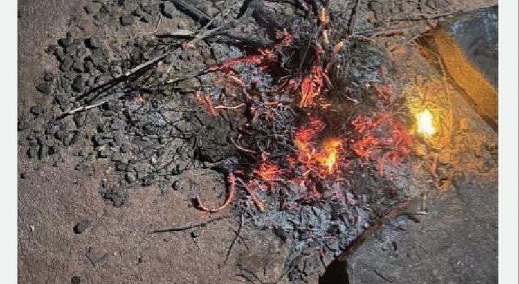 ضبط مواطن مخالف لإشعاله النار في غير الأماكن المخصصة بمحمية الإمام فيصل بن تركي الملكية