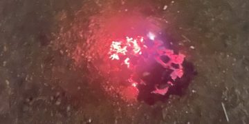 ضبط مواطن مخالف لنظام البيئة في محمية الإمام فيصل بن تركي الملكية