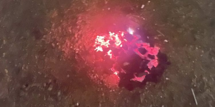 ضبط مواطن مخالف لنظام البيئة في محمية الإمام فيصل بن تركي الملكية