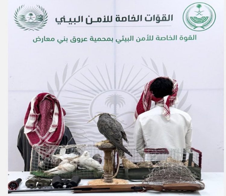 ضبط مواطنين لارتكابهما مخالفة الشروع في الصيد في أماكن محظورة بمحمية عروق بني معارض الطبيعية