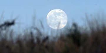 قمر الحصاد بسماء عسير يجذب عشاق الفلك