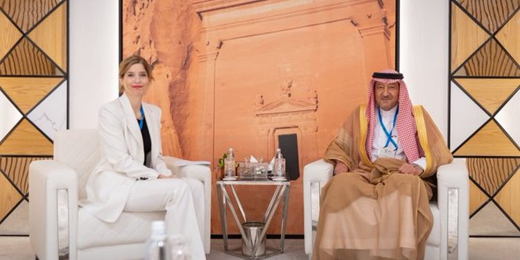  نائب وزير الخارجية يستعرض العلاقات الثنائية مع عضو البرلمان الأوروبي