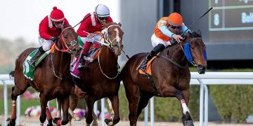 نادي سباقات الخيل يُقيم حفلات الأسبوع الثالث بميدان الملك عبدالعزيز