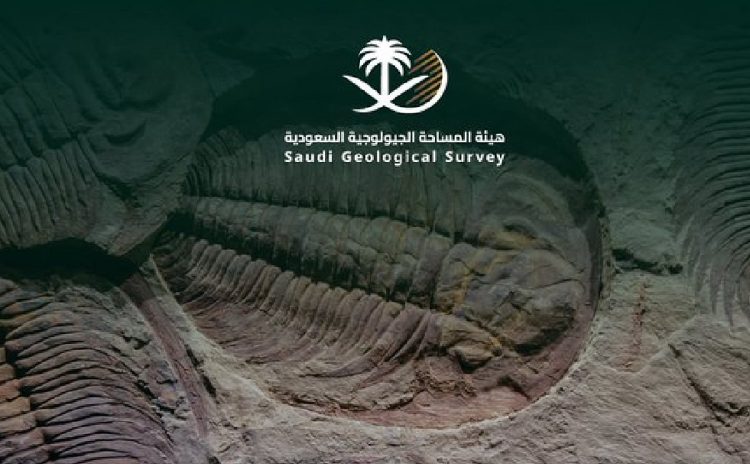 هيئة المساحة الجيولوجية تستعرض أبرز اكتشافاتها في اليوم العالمي للأحافير