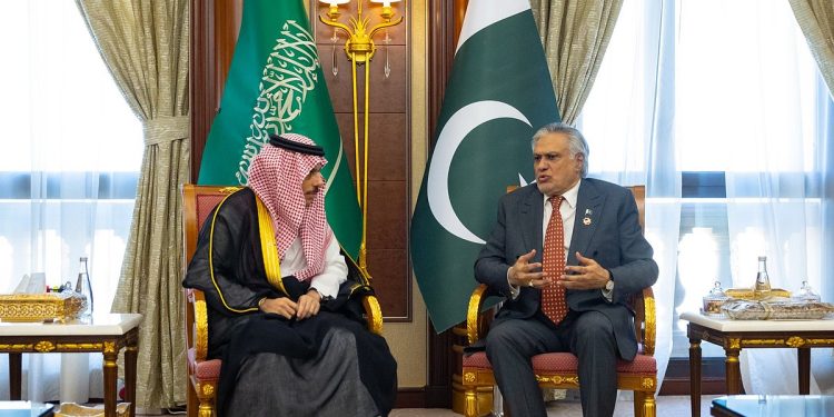 وزير الخارجية يبحث مستجدات الأوضاع الإقليمية والدولية مع نظيره الباكستاني