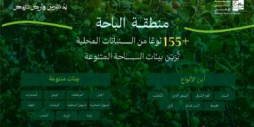 155 نباتاً محلياً يدعم تشجير الباحة ضمن مبادرة السعودية الخضراء