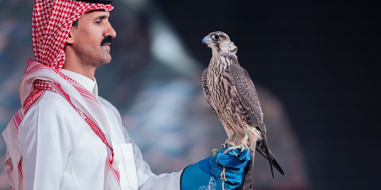 بيع صقرين بـ 236 ألف ريال في الليلة الـ 18 لمزاد نادي الصقور السعودي 2025