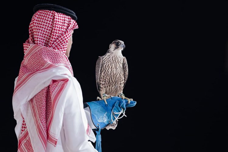 بيع شاهين فرخ في الليلة الـ19 لمزاد نادي الصقور السعودي 2025