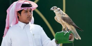 182 صقرًا يتنافسون في سابع أيام "كأس نادي الصقور السعودي"