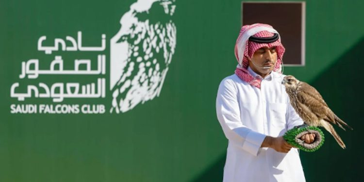 308 صقور تتنافس بأشواط الملاك في ثالث أيام كأس نادي الصقور السعودي 2025