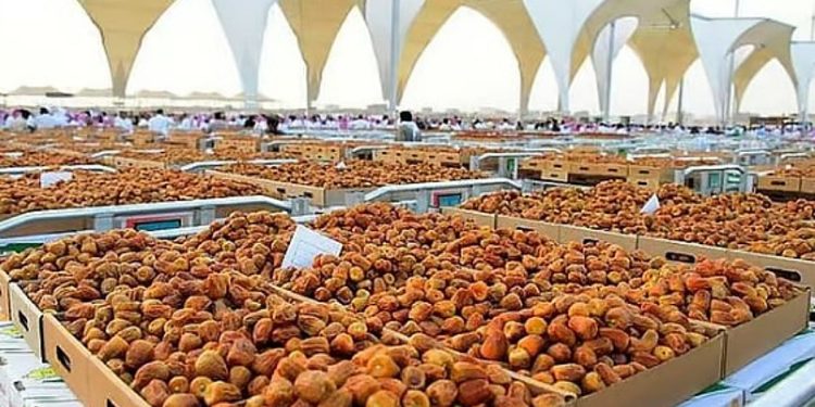 "الإحصاء": إنتاج التمور في المملكة بلغ 1.923 ألف طن لعام 2024