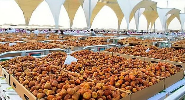 "الإحصاء": إنتاج التمور في المملكة بلغ 1.923 ألف طن لعام 2024
