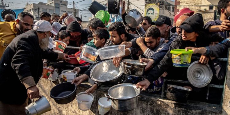 "الفاو" وبرنامج الأغذية العالمي يحذران من تفاقم انعدام الأمن الغذائي الحاد في 16 دولة