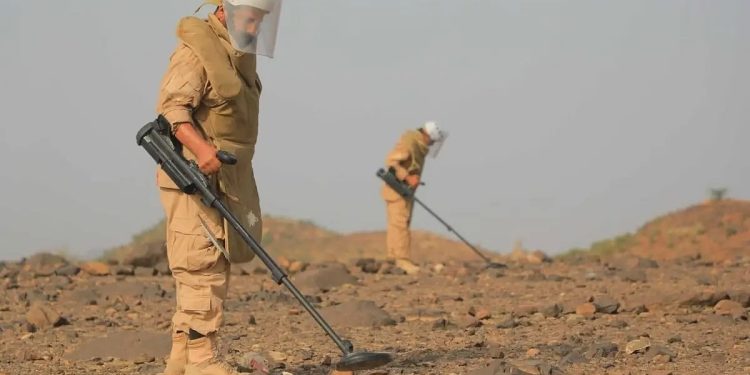 "مسام" ينزع (1.044) لغمًا من الأراضي اليمنية خلال أسبوع