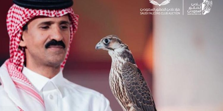 أكثر من 4.5 ملايين ريال مبيعات مزاد نادي الصقور السعودي 2025 في 18 ليلة