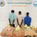 القبض على 3 مخالفين إثيوبيين لتهريبهم 140 كيلوجرامًا من نبات القات بمنطقة عسير