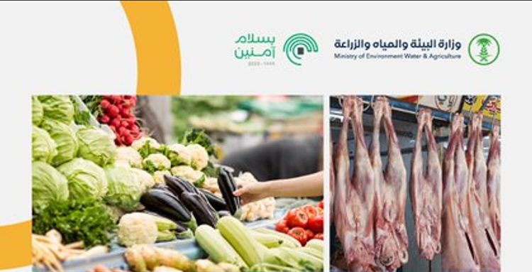 بيئة الجوف تضبط 14 مخالفة خلال 996 جولة رقابية على أسواق النفع العام والمسالخ