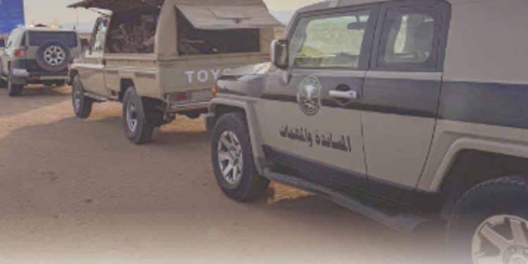 دوريات الإدارة العامة للمجاهدين تضبط مخالفًا لنظام البيئة بحائل