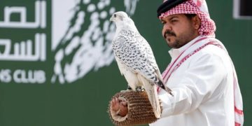 صقور المحترفين تتنافس على جوائز كأس نادي الصقور السعودي 2025 في رابع أيامه