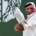 صقور المحترفين تتنافس على جوائز كأس نادي الصقور السعودي 2025 في رابع أيامه