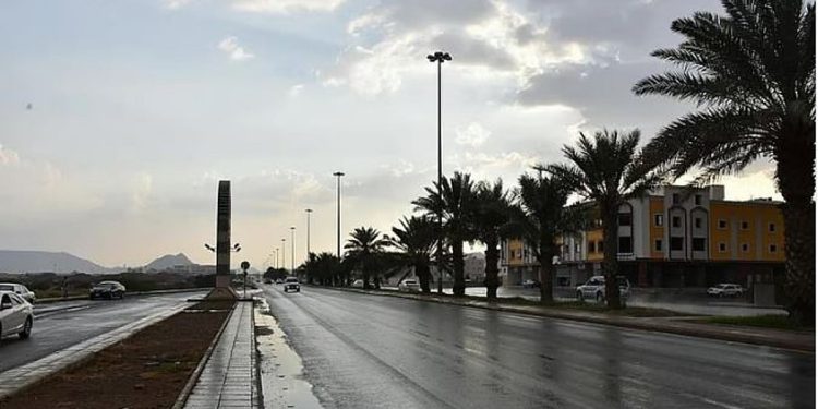 طقس المملكة الثلاثاء.. رياح نشطة وتكوّن للضباب على عدة مناطق