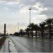 طقس المملكة الثلاثاء.. رياح نشطة وتكوّن للضباب على عدة مناطق