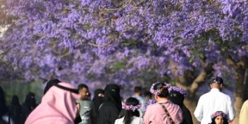 عسير جوهرة الجنوب.. سياحة تتنفس من قمم السحاب