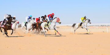 فروسية الأحساء تقيم حفل سباقها الخامس