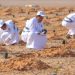'محمية الملك سلمان' تنمي الغطاء النباتي بتكثيف الزراعة