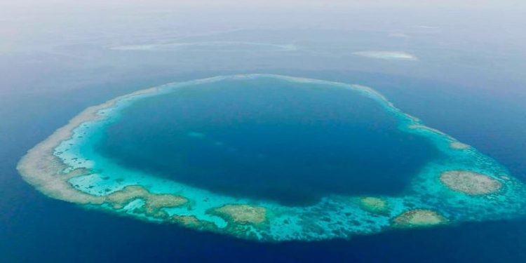 محميتا رأس حاطبة والثقوب الزرقاء.. نقلة نوعية في المحافظة على الحياة البحرية بالمملكة