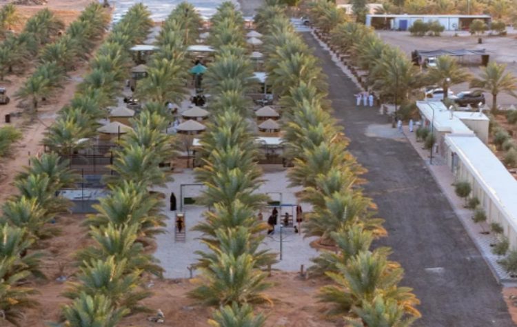 مزارع منطقة الجوف تضيف تجربة فريدة في السياحة الريفية