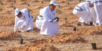 هيئة تطوير محمية الملك سلمان الملكية تنظم مبادرة لزراعة 3000 شتلة