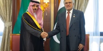 وزير الخارجية يستعرض مع نظيره الباكستاني الأوضاع الإقليمية