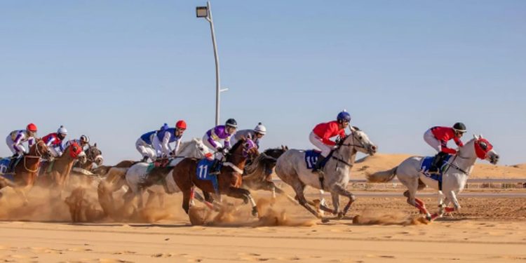 16 فائزًا في حفل السباقات الرابع بميدان الفروسية بالجوف