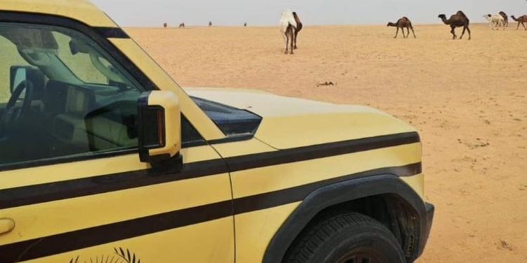 ضبط مواطنين لارتكابهما مخالفتي رعي وإشعال نار بمحميتي الملك عبدالعزيز والإمام فيصل بن تركي