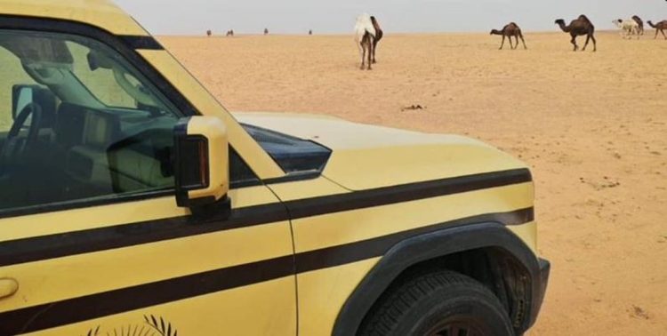 ضبط مواطنين لارتكابهما مخالفتي رعي وإشعال نار بمحميتي الملك عبدالعزيز والإمام فيصل بن تركي