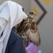 227 صقرًا تشارك في 7 أشواط للهواة المحليين بمهرجان الملك عبدالعزيز للصقور 2025 في يومه الرابع