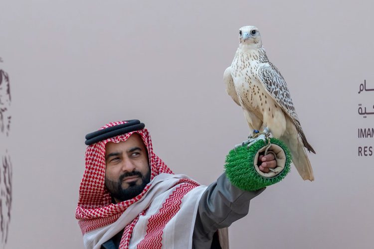 367 صقرًا يتنافسون في أشواط اليوم الخامس لمهرجان الملك عبدالعزيز للصقور 2025
