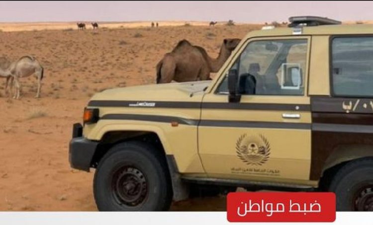 "الأمن البيئي" يضبط مواطنا لارتكابه مخالفة رعي في محمية الإمام تركي بن عبدالله الملكية