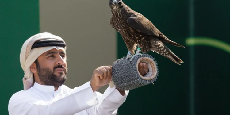 "كأس نادي الصقور 2025" يسدل الستار على مسابقة الملواح بـ6 أشواط ختامية للنخبة