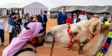 أكثر من 100 سائح يوثقون الحضور الدولي لمنافسات مهرجان الملك عبدالعزيز للإبل