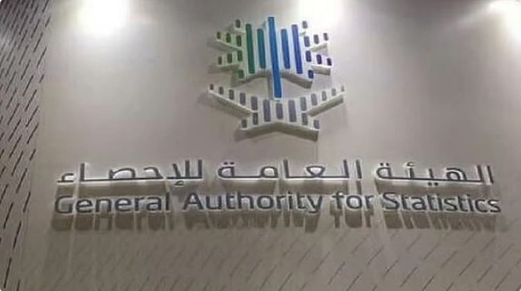«الإحصاء»: ارتفاع حصة الاقتصاد الرقمي من الناتج المحلي الإجمالي إلى 16% في عام 2024