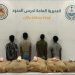 القبض على 4 إثيوبيين لتهريبهم 100 كيلوجرام من نبات القات بجازان