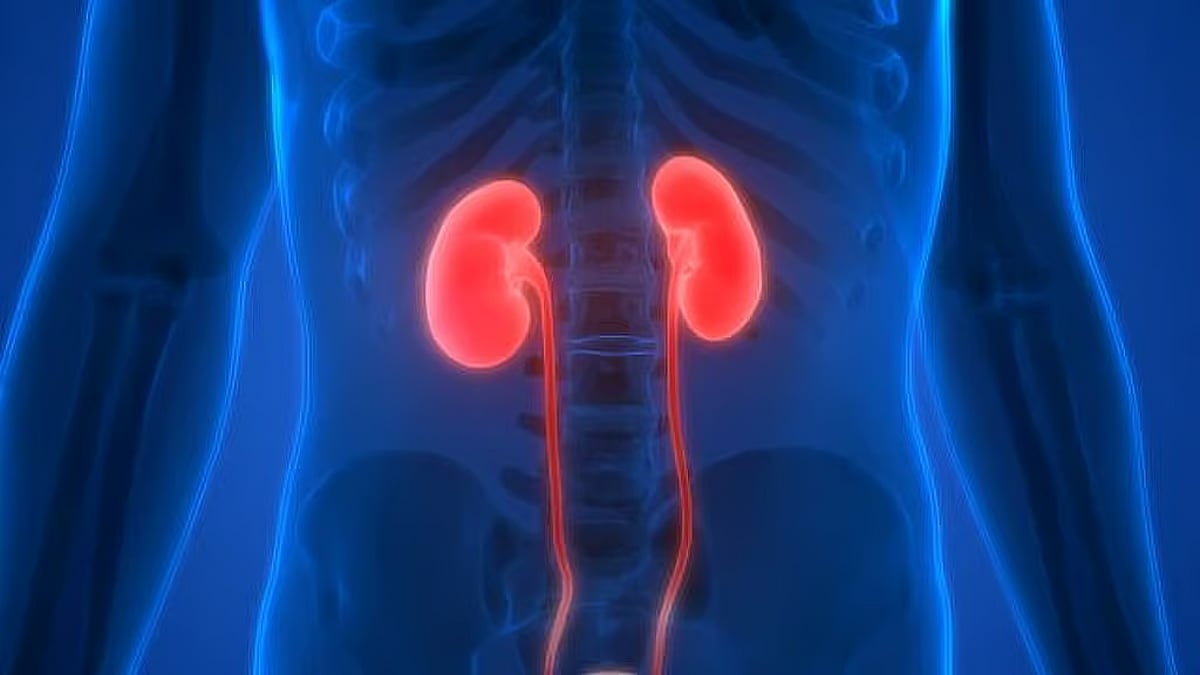 تجمع القصيم الصحي: 7 خطوات تساهم في الوقاية من أمراض الكلى