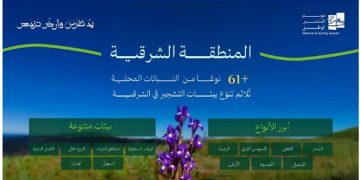 تحقق مستهدفات السعودية الخضراء.. أكثر من 61 نوعًا من النباتات المحلية ملائمة للتشجير في الشرقية