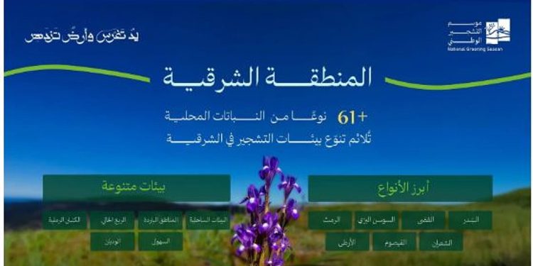 تحقق مستهدفات السعودية الخضراء.. أكثر من 61 نوعًا من النباتات المحلية ملائمة للتشجير في الشرقية